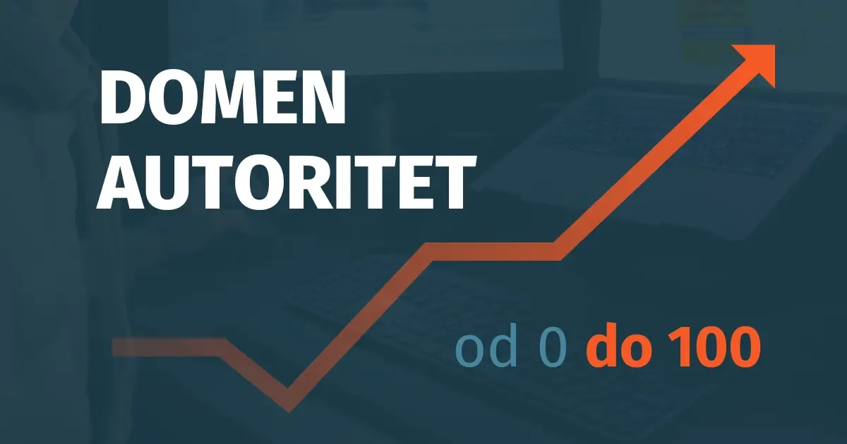 Domen autoritet